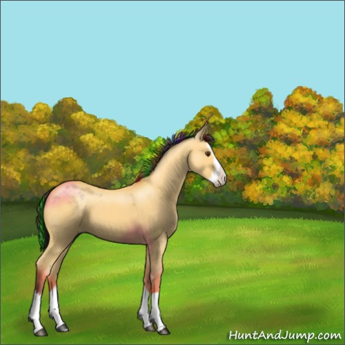 Horse Color:Painted Buckskin Dun Sabino Splash 