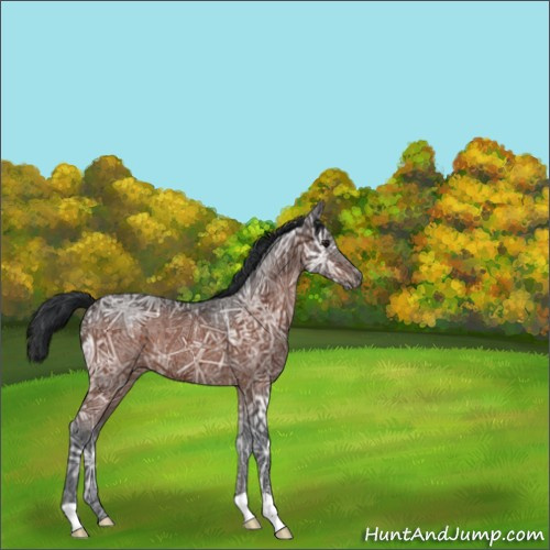 Horse Color:Brown Ice 