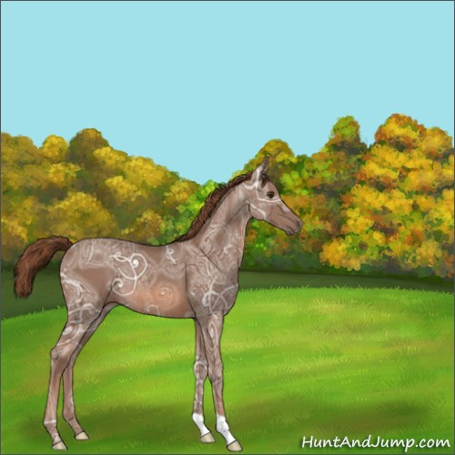Horse Color:Chestnut Ice Rabicano 
