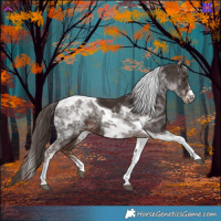 Horse Color:Liver Chestnut Tobiano Frame