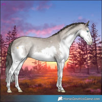 Horse Color:Classic Champagne Splash Rabicano