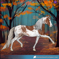 Horse Color:Chestnut Splash Tobiano