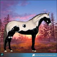 Horse Color:Amber Champagne Dun Splash 