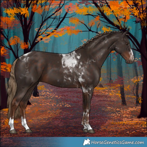 Horse Color:White Spotted Liver Chestnut Tobiano 
