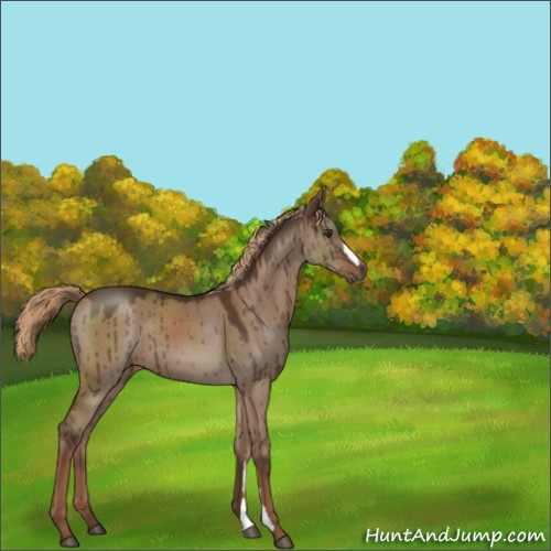 Horse Color:Liver Red Dun Brindle 