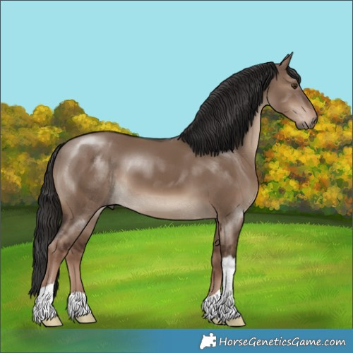Horse Color:Liver Red Dun 