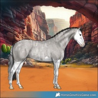 Horse Color:Grullo Ice Roan Splash Rabicano 