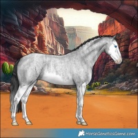 Horse Color:Blue Ice Roan Splash 