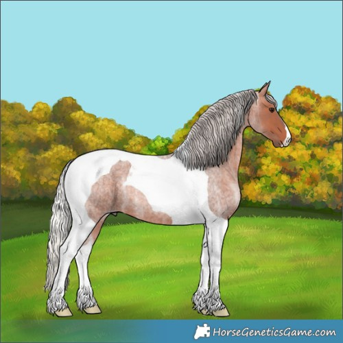 Horse Color:Silver Brown Ice Roan Tobiano 