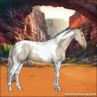 Horse Color:Silver Smoky Grullo Ice Roan Tobiano