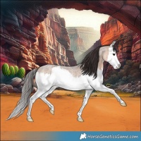 Horse Color:Brown Roan Dun Splash 