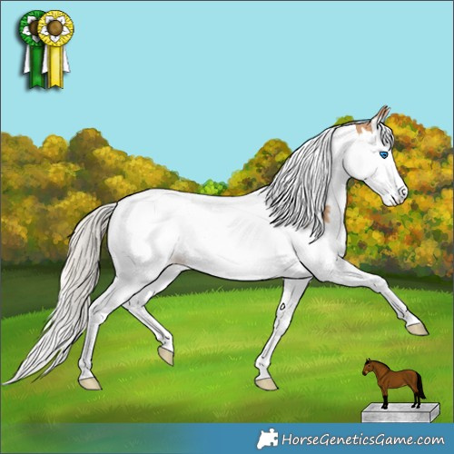 Horse Color:Silver Bay Dun Splash Tobiano 