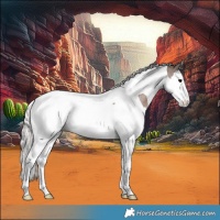 Horse Color:Silver Blue Roan Splash Tobiano 