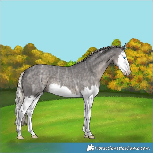 Horse Color:Silver Smoky Blue Ice Roan Splash