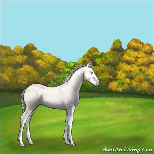 Horse Color:Silver Smoky Creme Ice Roan Dun Splash 