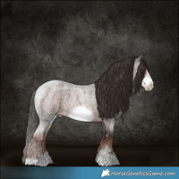 Horse Color:Liver Red Roan Frame 