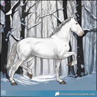 Horse Color:Silver Bay Dun Near Fewspot