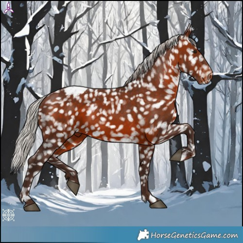 Horse Color:Silver Brown Appaloosa 