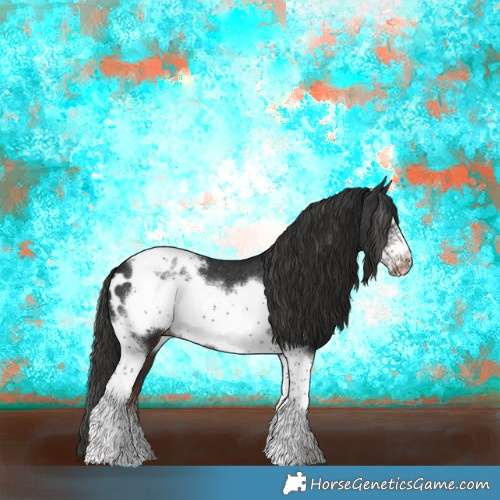 Horse Color:Liver Chestnut Tobiano Frame Appaloosa