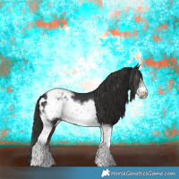 Horse Color:Liver Chestnut Tobiano Frame Appaloosa