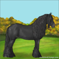 Horse Color:Black Appaloosa Rabicano