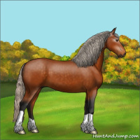Horse Color:Gray Silver Buckskin 