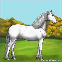 Horse Color:Gray Black Tobiano Frame Leopard 