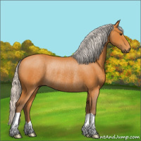 Horse Color:Silver Buckskin Rabicano 