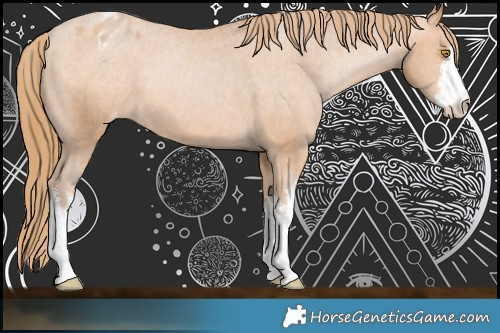 Horse Color:White Spotted Bay Pearl Appaloosa 