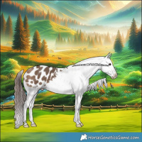 Horse Color:Bay Dun Splash Appaloosa 
