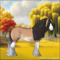 Horse Color:Bay Dun Splash 