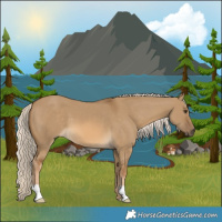 Horse Color:Chocolate Palomino Dun 