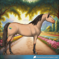 Horse Color:Bay Dun 