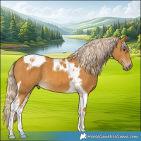Horse Color:Palomino Tobiano 