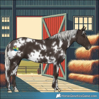 Horse Color:White Spotted Liver Chestnut Mushroom 