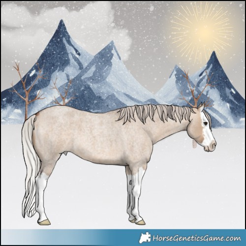 Horse Color:White Spotted Silver Brown Roan Dun Splash 
