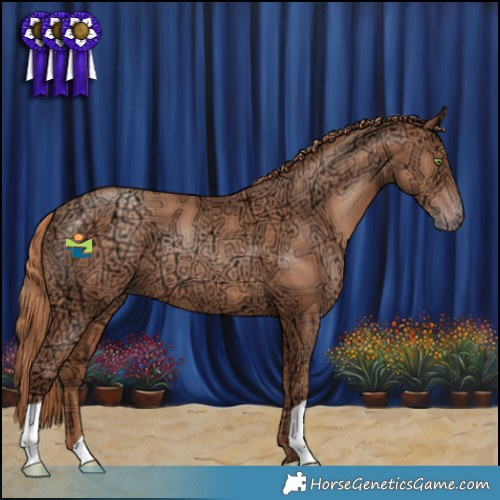 Horse Color:Gold Champagne Ice 