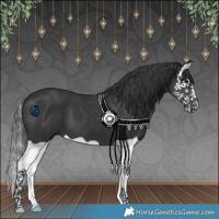 Horse Color:Black Splash 