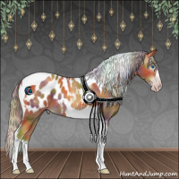 Horse Color:Gray Nacre Gold Cream Champagne Splash Tobiano Appaloosa 