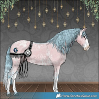 Horse Color:Watercolor Grullo Ice Sabino Splash Appaloosa 