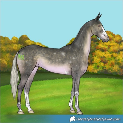 Horse Color:Silver Black Chinchilla 