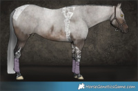 Horse Color:Brown Dun Tobiano Rabicano 