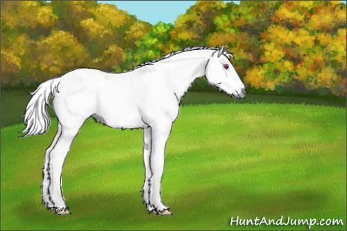 Horse Color:Red Dun Chinchilla Tobiano 
