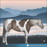 Horse Color:Brown Dun Tobiano Rabicano 