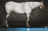 Horse Color:Liver Red Dun Roan Tobiano Rabicano