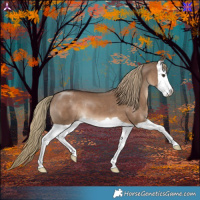 Horse Color:Liver Red Dun Splash 