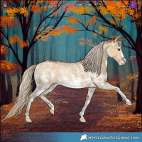 Horse Color:Chocolate Palomino Dun Sabino 