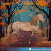 Horse Color:Red Dun Rabicano 