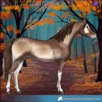 Horse Color:Red Onyx Sabino