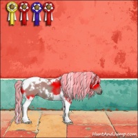 Horse Color:Painted White Spotted Silver Grullo Tobiano 